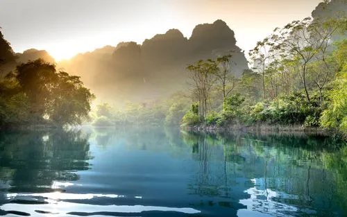 节能高端绿色